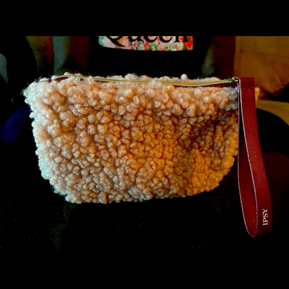 Ipsy Makeup Purse